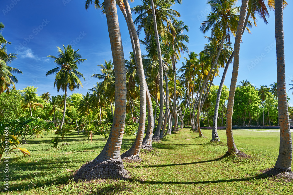 Fototapeta premium Maldives paradise scenery. Tropical aerial landscape, seascape with long jetty, water villas with amazing sea and lagoon beach, tropical nature. Exotic tourism destination banner, summer vacation