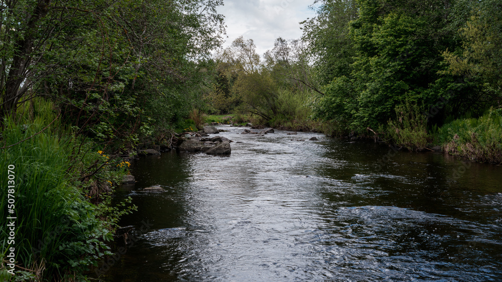 Lenaelva River by the Krabyskogen Forest, Toten, Norway, in May. Lenaelva River by the Krabyskogen Forest, Toten, Norway, in May.