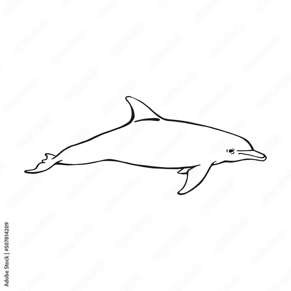 Dolphin. Hand drawn illustration converted to vector. Vector with animal underwater. Dolphin. Hand drawn illustration converted to vector. Vector with animal underwater.