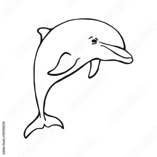 Hand drawn dolphin. Vector illustration in sketch style. Jumping dolphin isolated on white background.