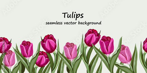 Pink tulips seamless border design. Endless repeatable spring flowers background with tulips, vector hand drawn illustration isolated.