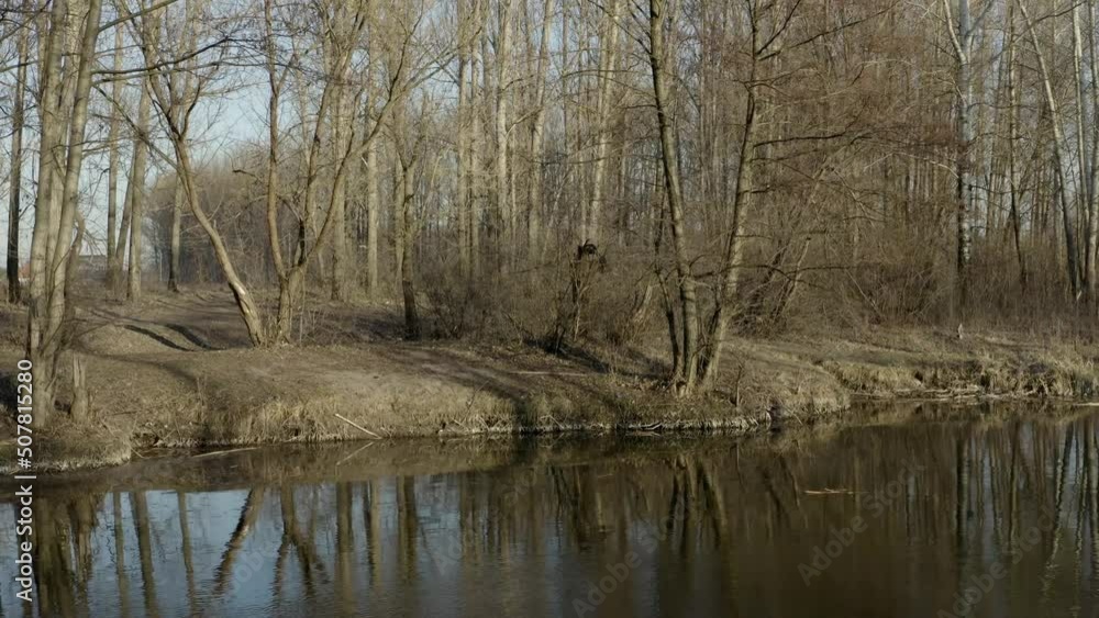 Drone flight over the river with a view of spring trees without leaves. Drone flight over the river with a view of spring trees without leaves.