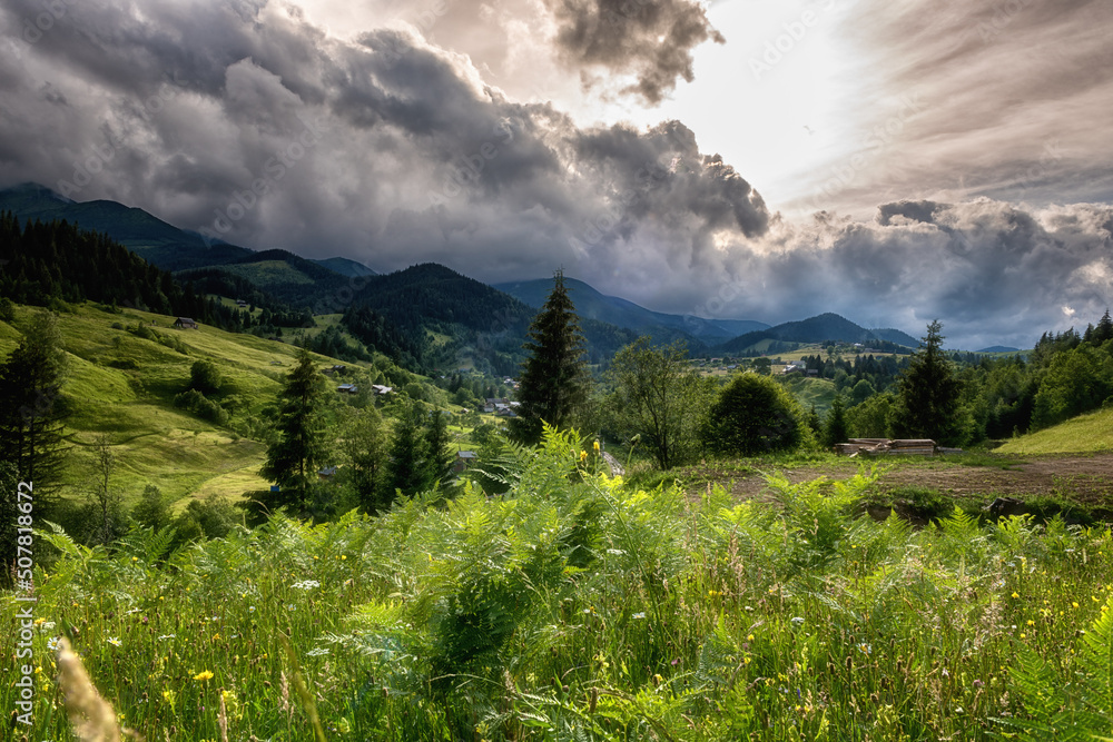 Summer in the Carpathian mountains. Scenic view of the green alpine meadow with fresh grass, mountain range and dramatic stormy sky with clouds, beautiful landscape, outdoor travel background