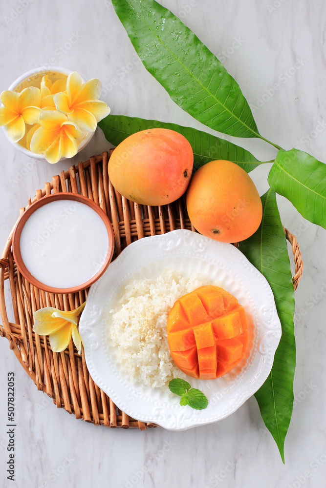 Mango Sticky Rice and Coconut Milk Mango Sticky Rice and Coconut Milk