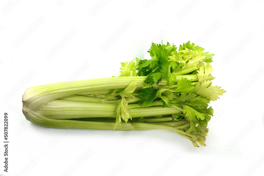 Celery isolated on white background. Fresh organic green celery. Celery isolated on white background. Fresh organic green celery.