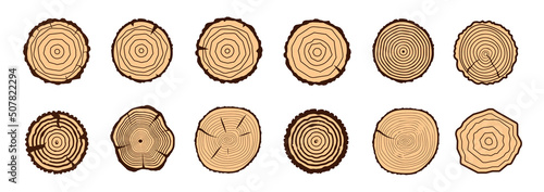 Round tree trunk cuts. Vector modern illustration