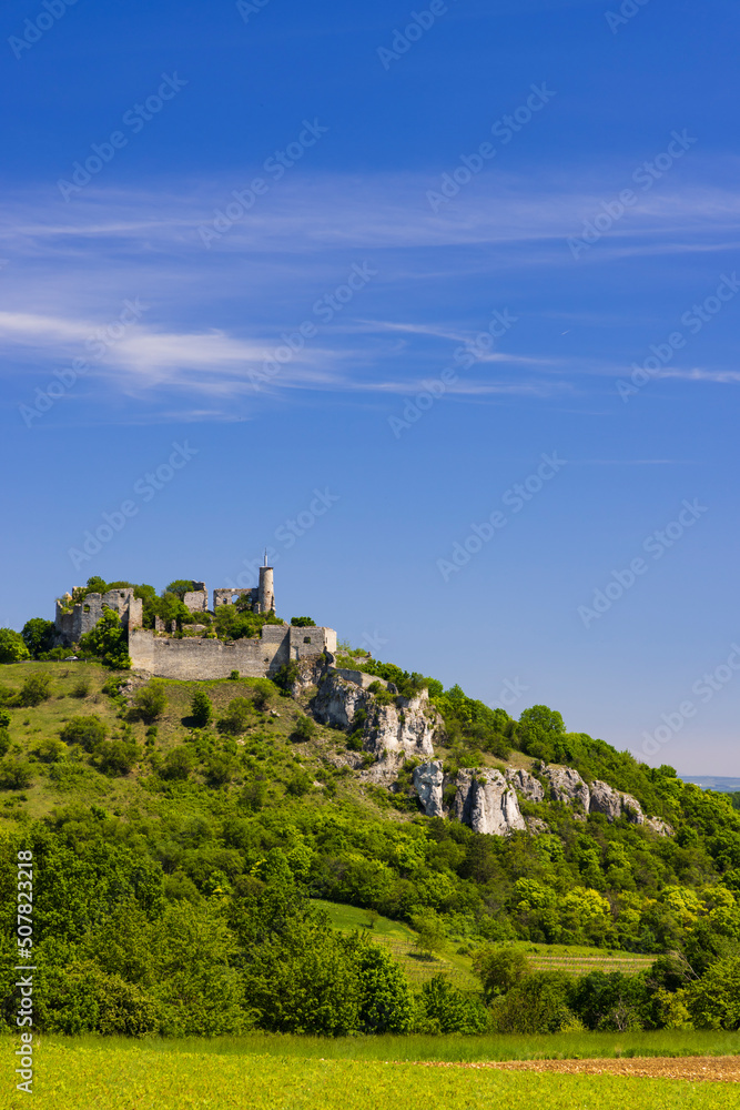 Falkenstein ruins and town with vineyard, Lower Austria, Austria