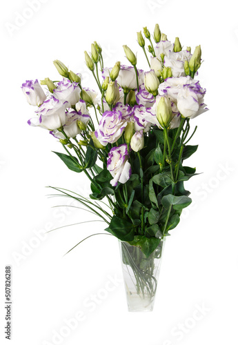 Bunch of violet eustoma flowers in glass vase isolated on white.