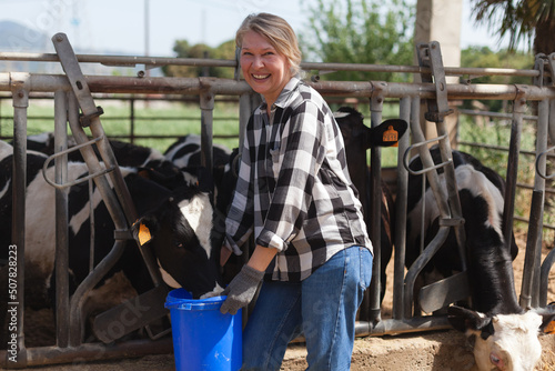 Farm woman taking care of a herd of calves in a stall