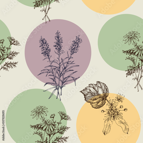 Medicinal flowers and herbs for sleep seamless pattern. Chamomile, lavender and linden design photo