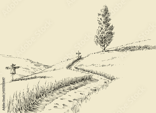 Scarecrow in a field  landscape hand drawing