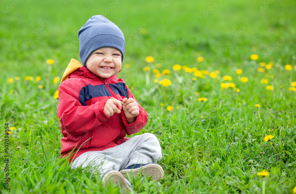 Adorable little boy playing in grass of spring on the field with dandelions. Child playing outdoors. Adorable little boy playing in grass of spring on the field with dandelions. Child playing outdoors.