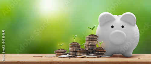 Фотография White piggy bank and coin stacks with plant growing on coins on wooden table  -Business Finance, Investment and Saving money concept