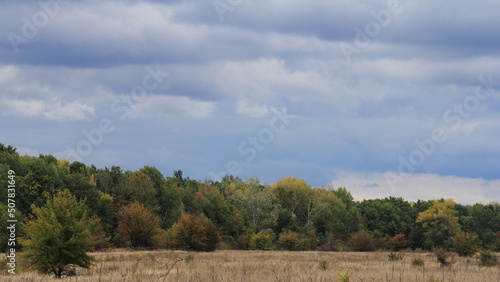 autumn forest in the mountains