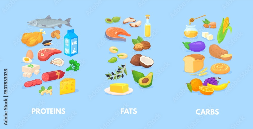 Healthy macronutrients. Nutrition chart of carbohydrates fats proteins, complex diet macros food, carbs healthy balance, vegetables seafood meal antioxidants, cartoon neat vector