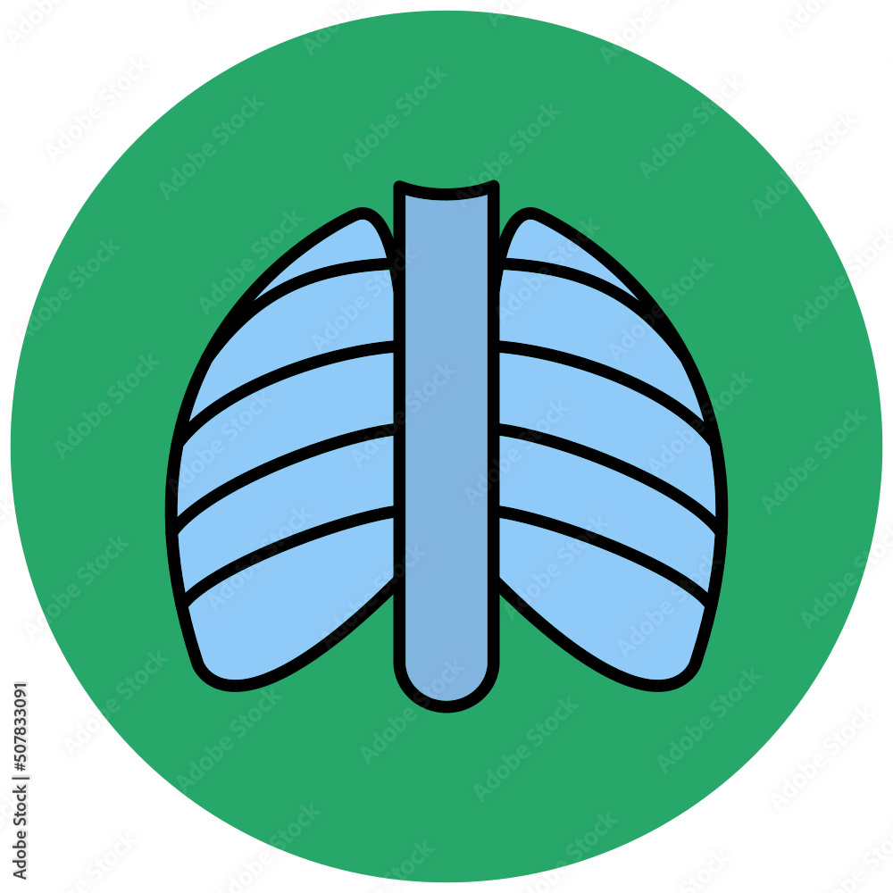 X-ray Icon X-ray Icon