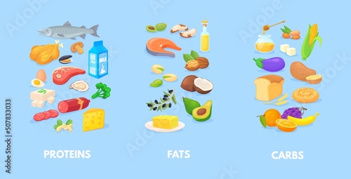 Healthy macronutrients. Nutrition chart of carbohydrates fats proteins, complex diet macros food, carbs healthy balance, vegetables seafood meal antioxidants, cartoon neat vector