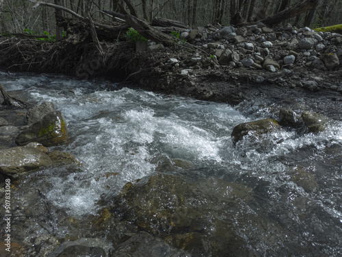 river in the forest © Filipp
