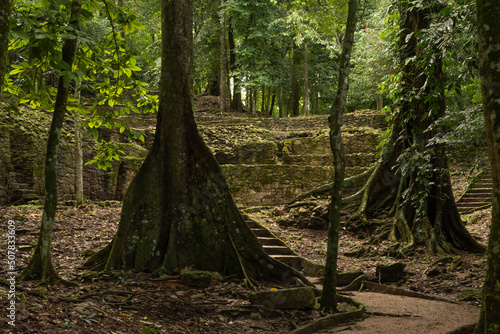 View of the archaeological site of Palenque, Mexico