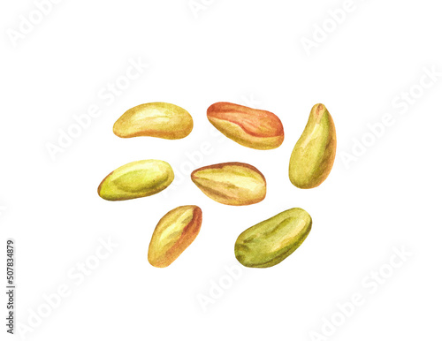 Set of waterccolor pistachio nuts isolated on white background.