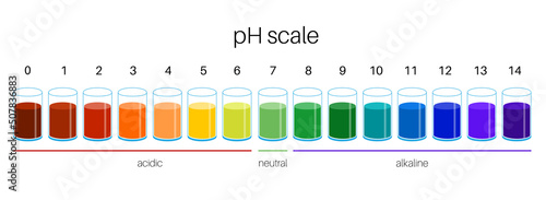 PH scale diagram