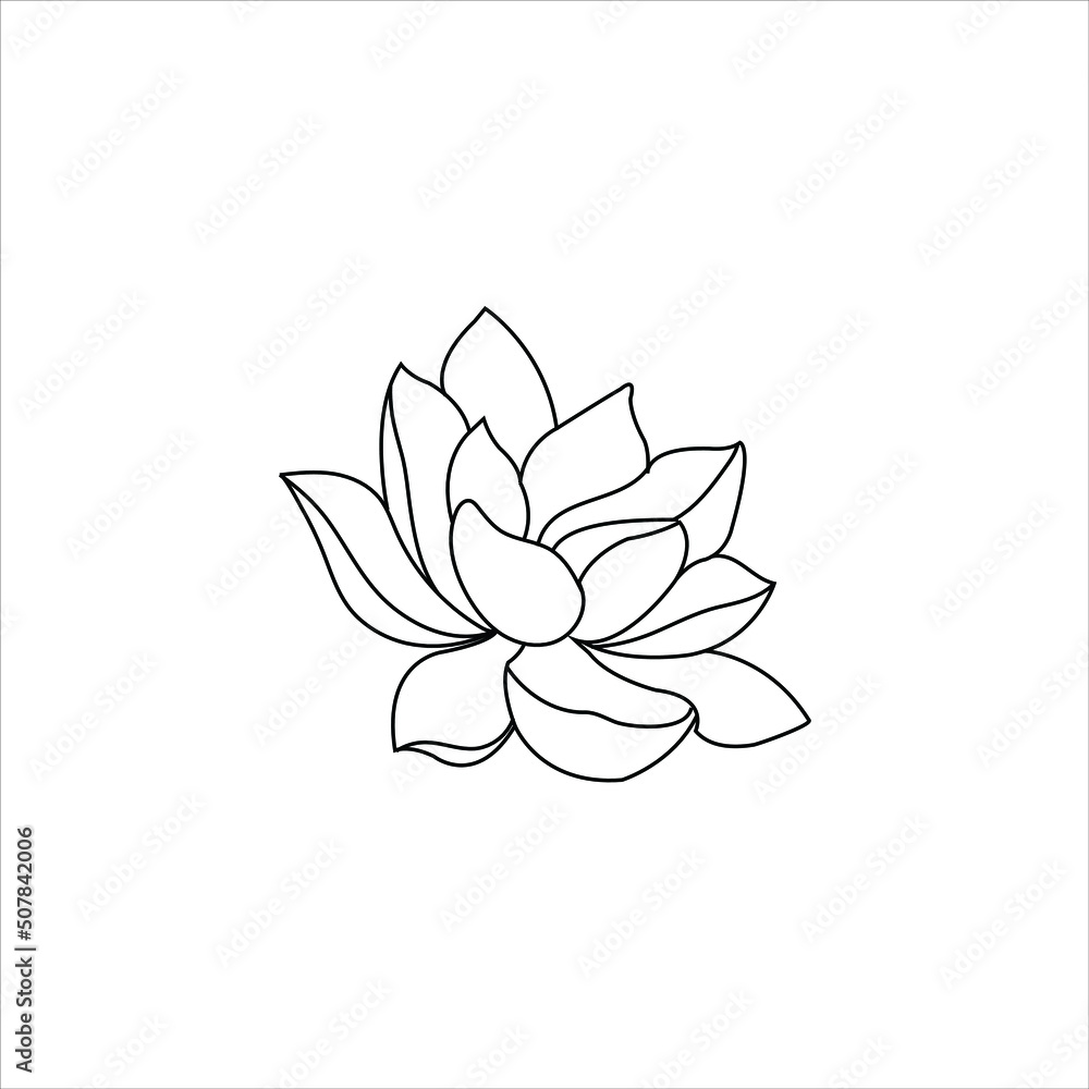 illustration of lotus flower illustration of lotus flower