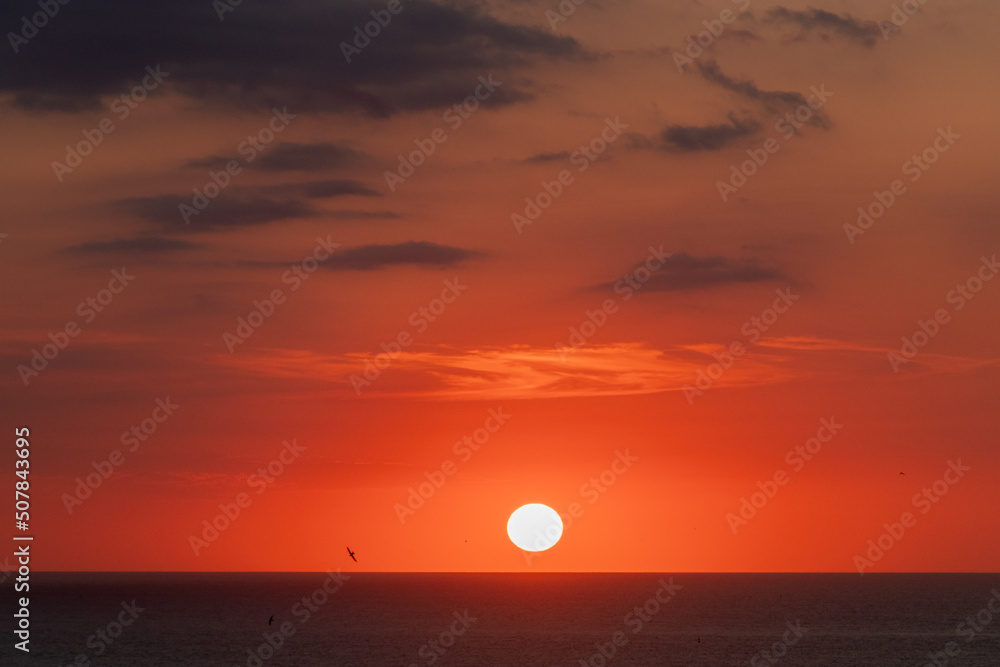 Landscape of a sunset on the coast in summer