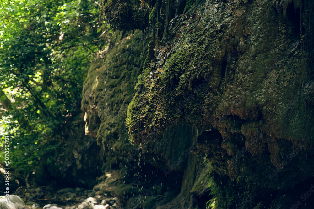 Mount Ida National Park in northwestern Turkey. Mossy rocks and tree roots. Mount Ida National Park in northwestern Turkey. Mossy rocks and tree roots.