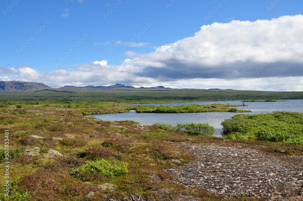 landscape in Iceland with river and clouds