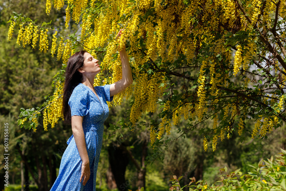 a woman in a blue dress near a blooming yellow tree in summer
