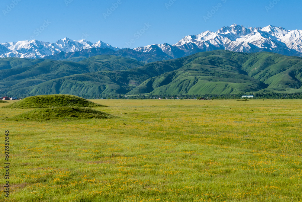 Fototapeta premium landscape in the summer