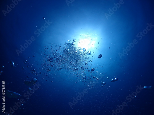 石垣島ダイビング・海底より海面を臨む