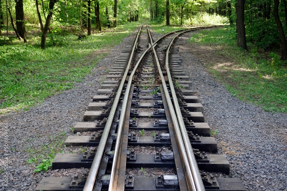Fototapeta premium Railroad in the forest. Perspective. The paths diverge. Turn