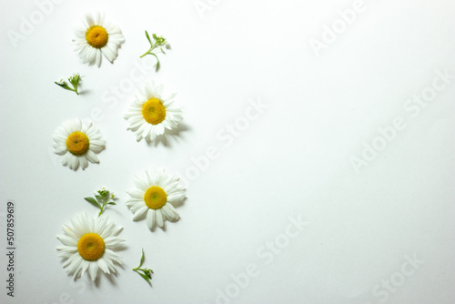 Spring frame of small flowers and daisy, floral arrangement © Yekaterina