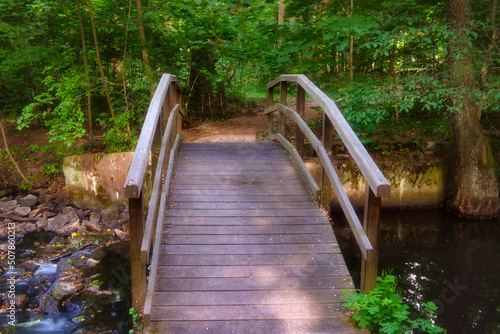 Wald Bach Br  cke