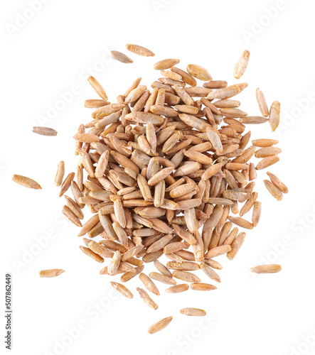 Rye grains isolated on white background. Pile of rye malt seeds close up. Dry grains of winter rye. Top view.