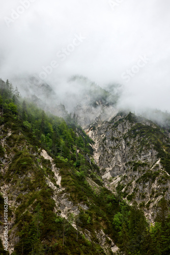 green mountains in fog
