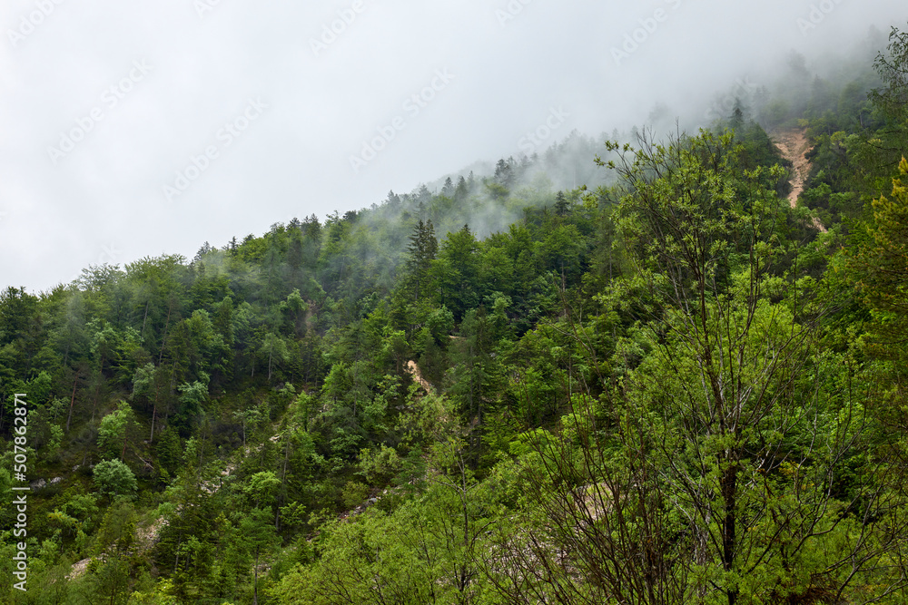 green mountains in fog