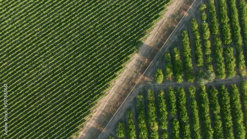 Aerial view of agricultural fields