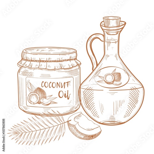 Bottles of coconut oil. Cooking and beauty ingredients. Glass pitcher and jar, coconut nut, palm leaves Vector Hand drawn illustration.