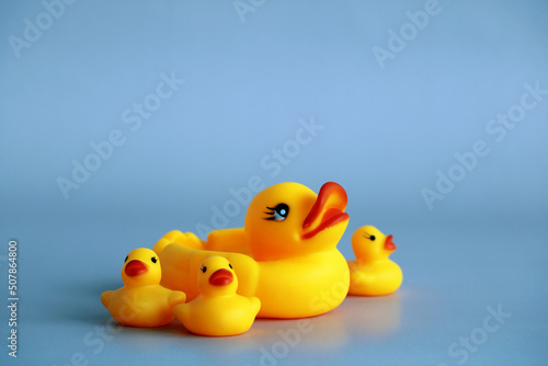 rubber duck with ducklings on a blue.