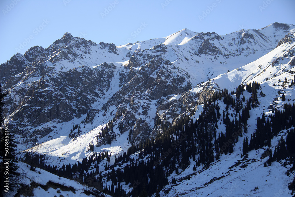 In the Tuyuk-Su alpine gorge, a rocky snow-capped mountain, a forest grows on the slopes, winter, sunny