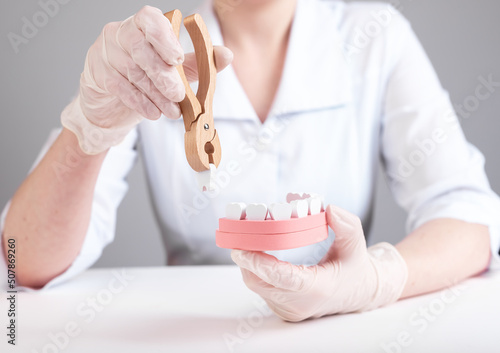 Dentist pulling tooth with forceps out of jaw model. Wisdom teeth extraction or poor oral hygiene  injury consequences. Dental surgeon in lab coat and gloves sitting at table. High quality photo