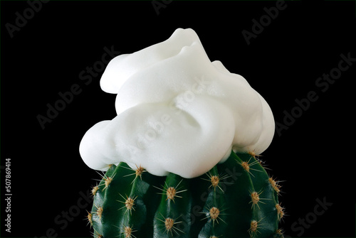 Abstract concept of shaving with shaving foam and cactus