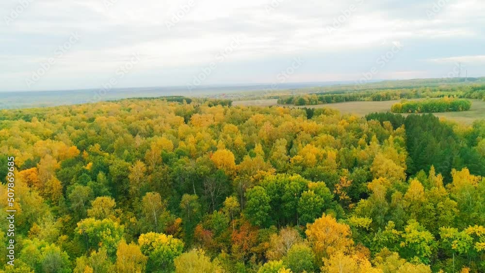 Aerial video of autumn forest on a cloudy day Aerial video of autumn forest on a cloudy day