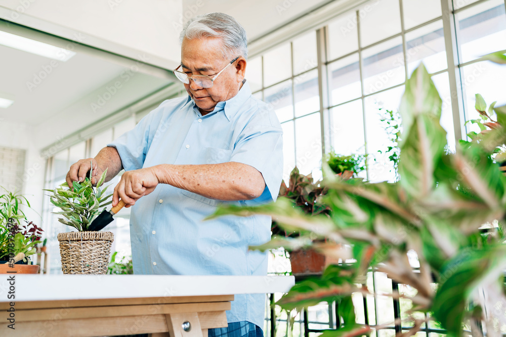 © artitwpd - Asian retired grandfathers love to take care of the plants by scooping the soil in preparation for planting trees. Retirement activities.