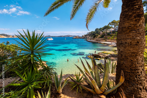 Mallorca island. Beach Cala Fornells