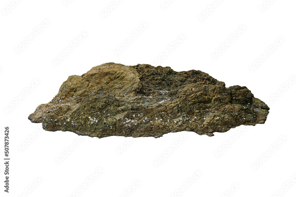 Rocky reef stone is isolated on white background. A big raw strange natural coastal rock for decoration. Rocky reef stone is isolated on white background. A big raw strange natural coastal rock for decoration.