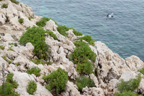 rocky coast of the sea