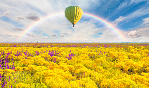 Field covered with purple and yellow wildflower amazing rainbow in the background 